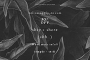 Walker: a Handlettered Serif, a Serif Font by Margot + Co (Thumbnail 11 of 11)