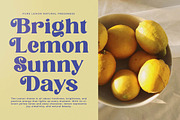 Melody Kingda Modern Retro Serif, a Serif Font by timelesstype.co (Thumbnail 4 of 15)