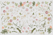 FLORA.PNG | Blurry Flower Collage, an Object Graphic by ana & yvy (Thumbnail 23 of 23)