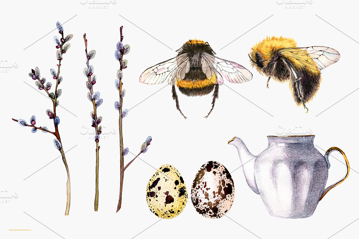 daffodil flower, an Illustration by OlyaSenko (Photo 4 of 7)