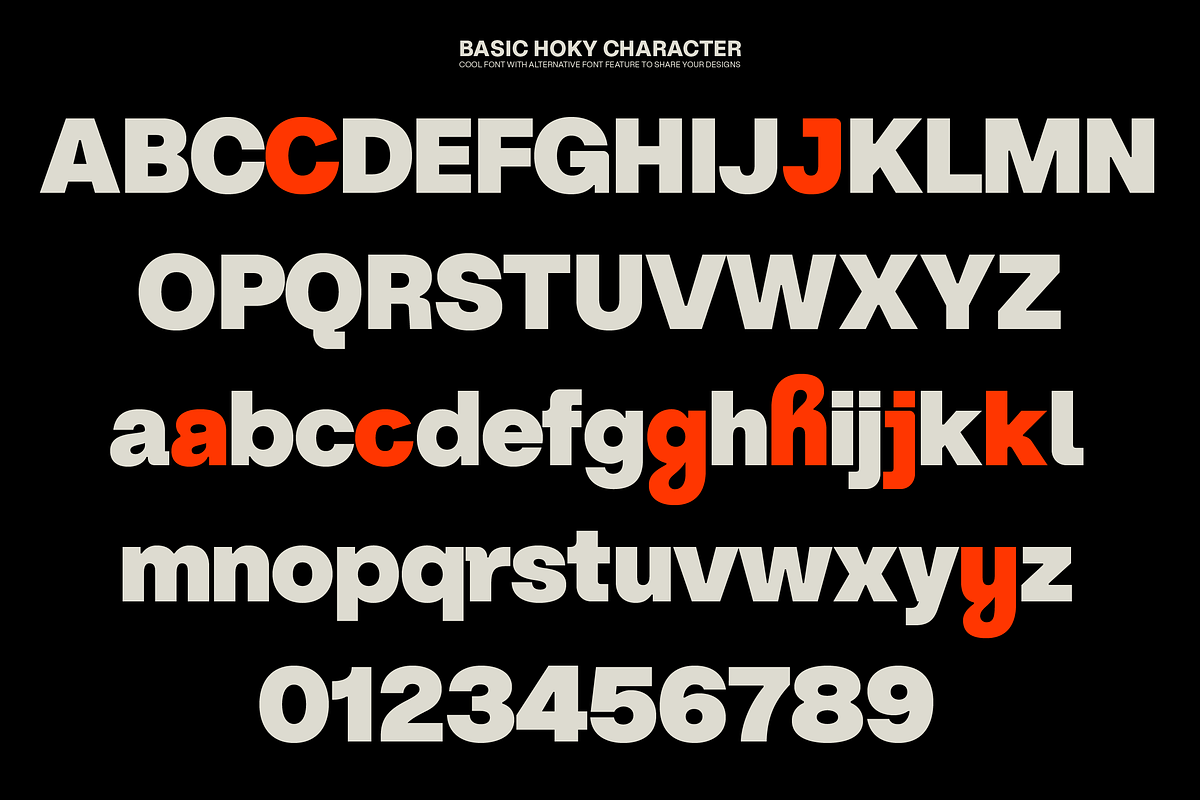ZT Hoky Geometric - 54 Fonts, a Sans Serif Font by zelow type (Photo 9 of 15)