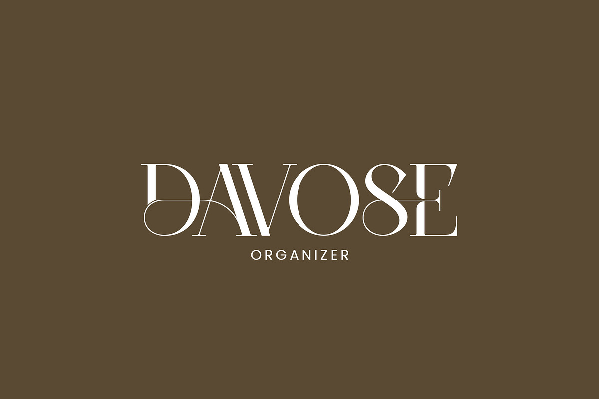 DEVITO - Modern Ligature Serif Font, a Serif Font by AnnofaType (Photo 2 of 8)