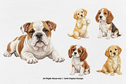 15 Bundle Watercolor Cute Dog Fluffy, an Animal Illustration by Morspective (Thumbnail 5 of 8)