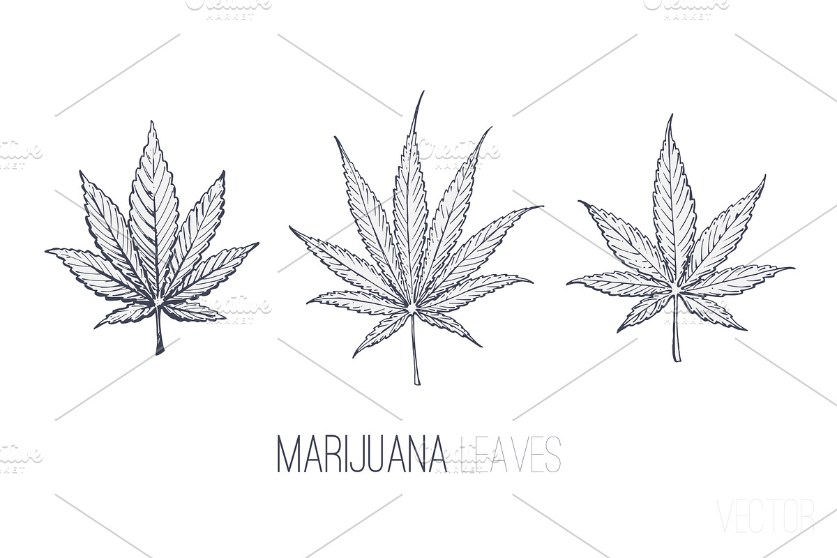 Weed. Stoner gadgets & accessories, a Healthcare Illustration by Margo Miller (Photo 26 of 45)