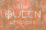 Tagine. Chic new font for designers, a Sans Serif Font by LostandFoundry (Thumbnail 5 of 7)
