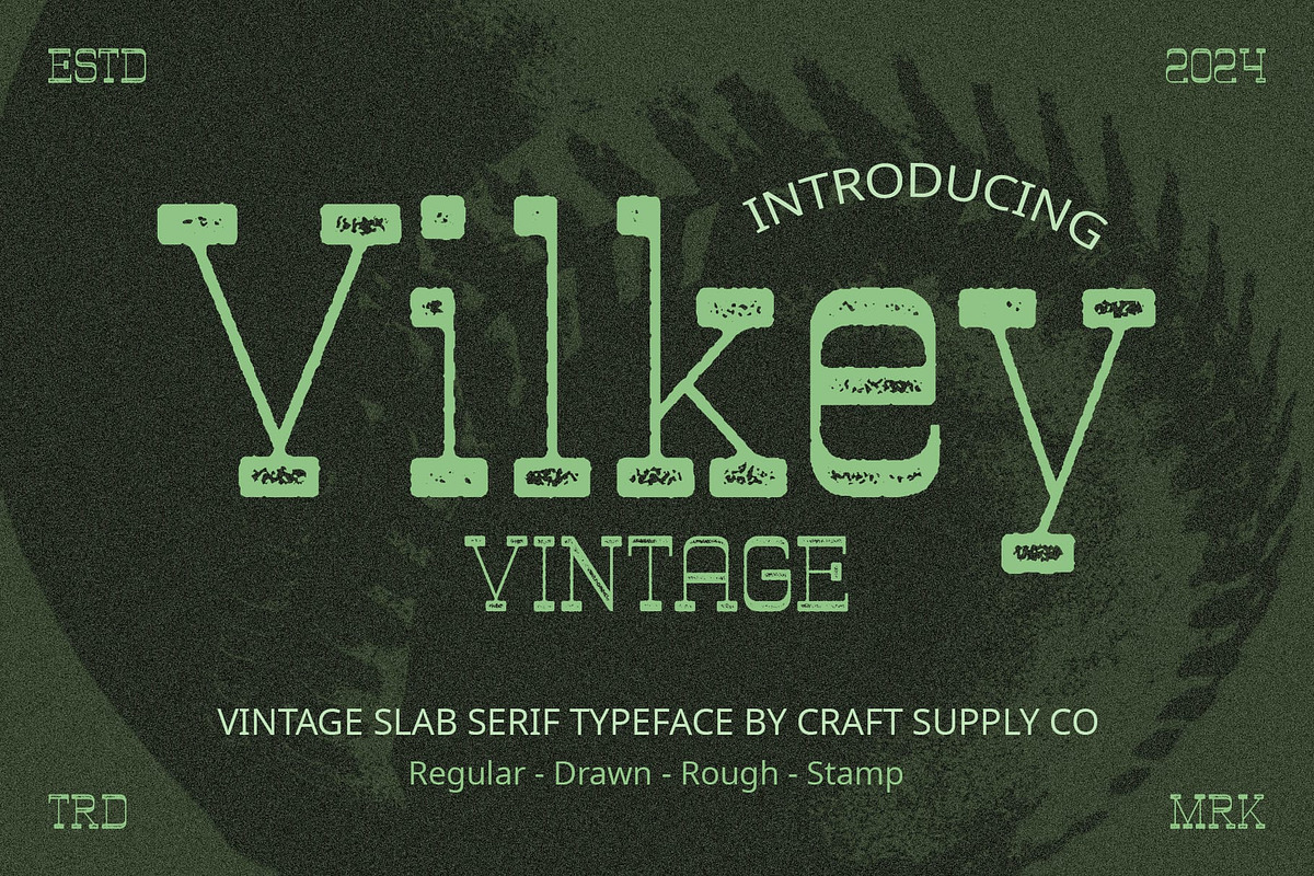 Vilkey Vintage, a Serif Font by Craft Supply Co. (Photo 1 of 8)