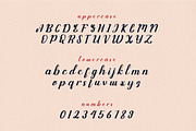 Wallflower, a Script Font by Wangsinawang Studio (Thumbnail 8 of 10)