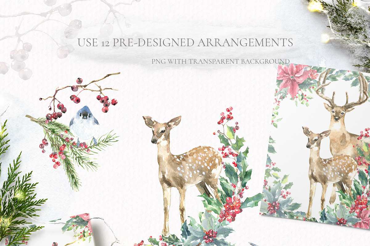 Christmas Watercolor Woodland, an Animal Illustration by Catherine Wheel (Photo 6 of 22)