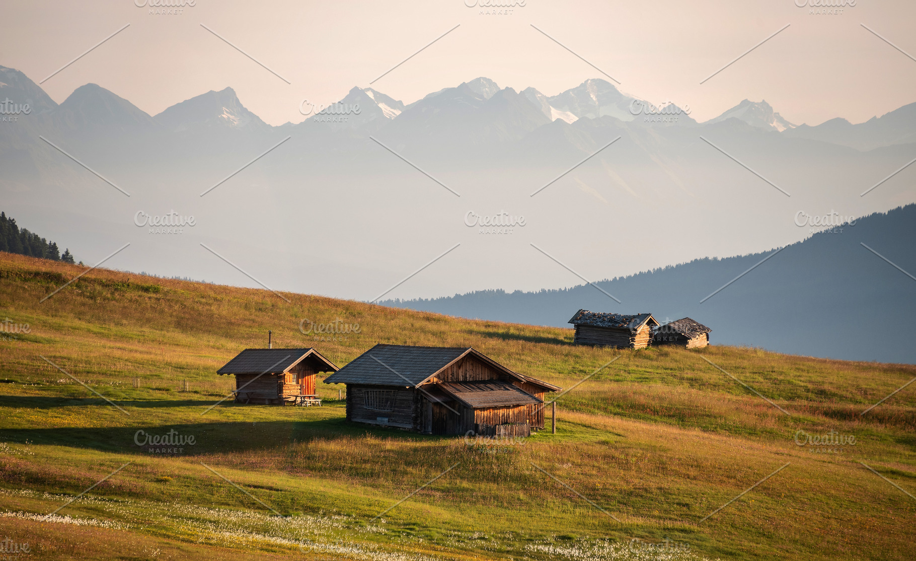 Sunrise on the meadows of the Dolomites mountains, a Nature Photo by Dreamy Pixel