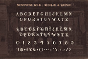 History Font Trio, a Script Font by Deeezy (Thumbnail 7 of 10)
