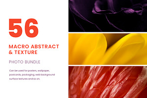 Macro Abstract Photo Bundle