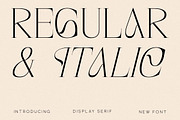 Magisse Display Serif Font, a Serif Font by Storytype Studio (Thumbnail 7 of 15)
