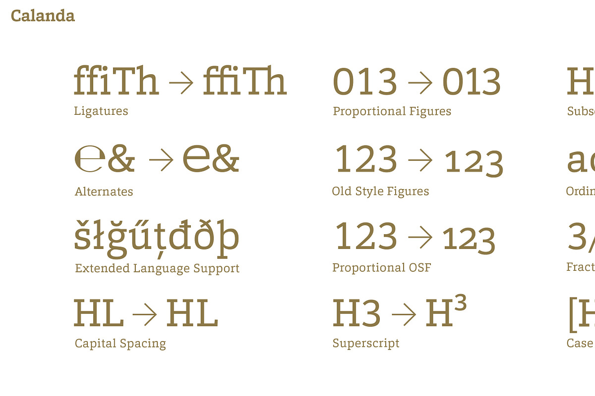 Calanda, a Slab Serif Font by Hoftype (Photo 24 of 26)