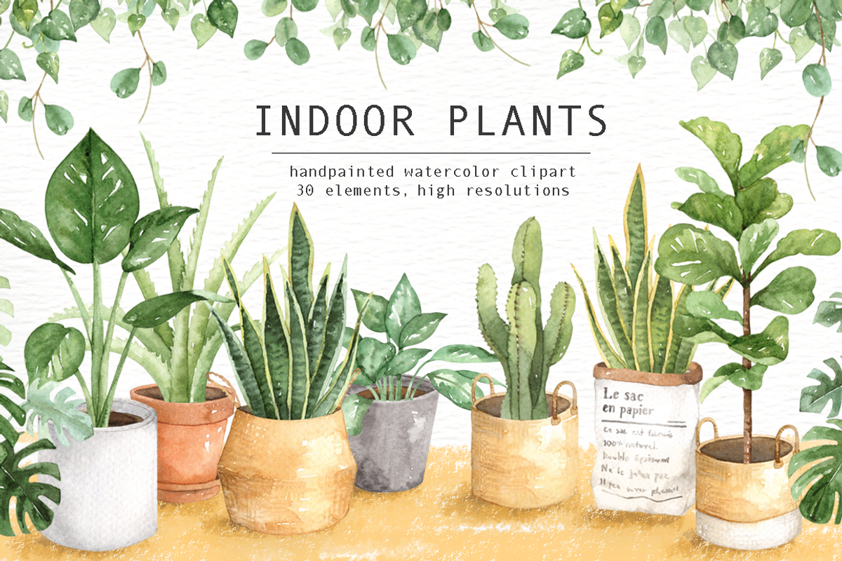 Indoor Plants Watercolor Clipart, an Illustration by everysunsun (Photo 1 of 5)