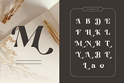 Martina Retro - Branding Logo Font, a Serif Font by Nirmana Visual (Thumbnail 5 of 12)