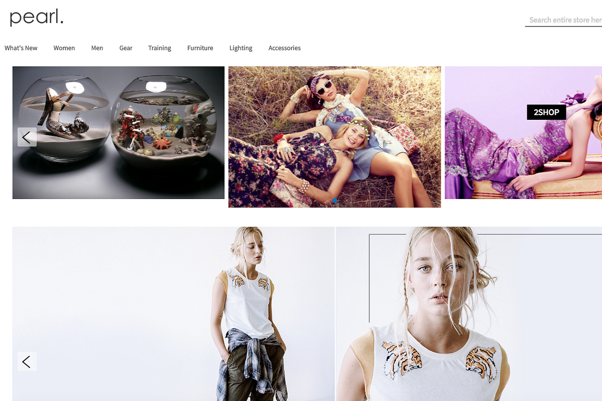 Banner Slider OWL Carousel Magento 2, a Websites & App Template by WeltPixel (Photo 2 of 9)
