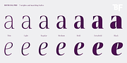 BF Rotwang Pro, a Serif Font by BrassFonts (Thumbnail 2 of 15)