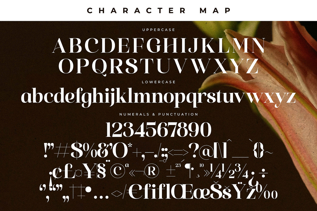 Florilst Realik Modern Serif Font, a Serif Font by Storytype Studio (Photo 13 of 15)