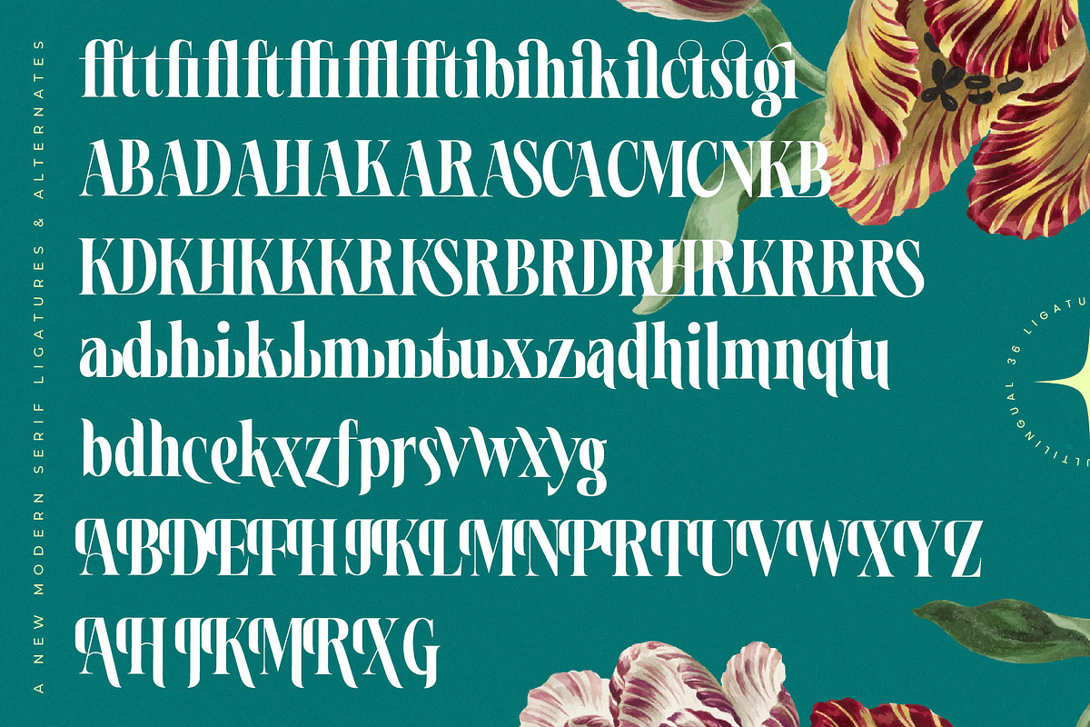 Magiction Modern Serif Display, a Serif Font by timelesstype.co (Photo 19 of 20)