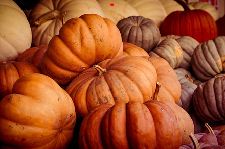 Pumpkins, Gourds, October, Autumn