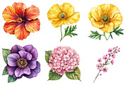 Watercolor Wildflower Clipart Bundle, a Seasonal Illustration by CitraGraphics (Thumbnail 9 of 10)