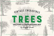 Trees - Vintage Illustrations Set, an Illustration by Graphic Goods (Thumbnail 1 of 10)