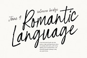 Befinal Cotin Elegant Casual Script, a Script Font by Maulana Creative (Thumbnail 6 of 7)