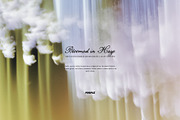 Bloomed in Haze: Floral Backgrounds, a Background Graphic by Purple (Thumbnail 2 of 14)