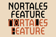 Nortales Vintage Font, a Sans Serif Font by 24Design Studios (Thumbnail 6 of 9)