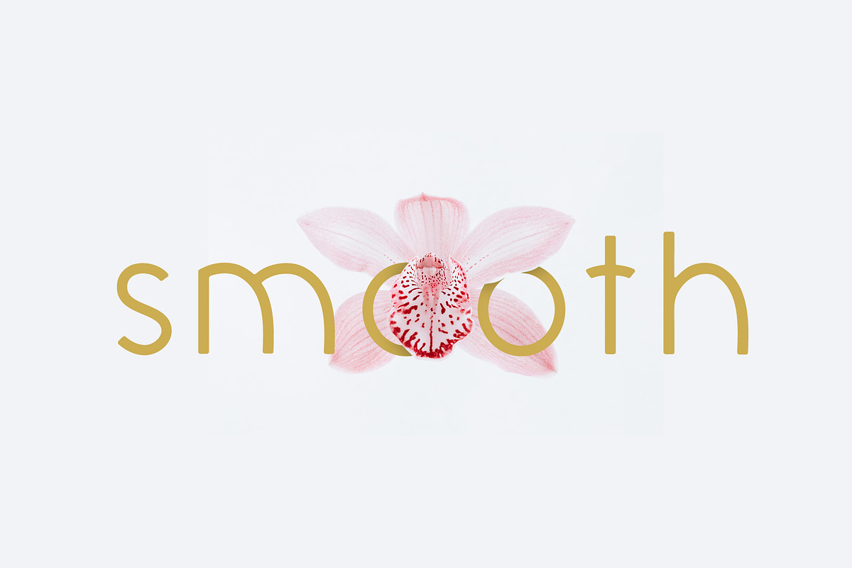 Elegantly - sans elegant font, a Font by DanieleFranchi (Photo 10 of 13)