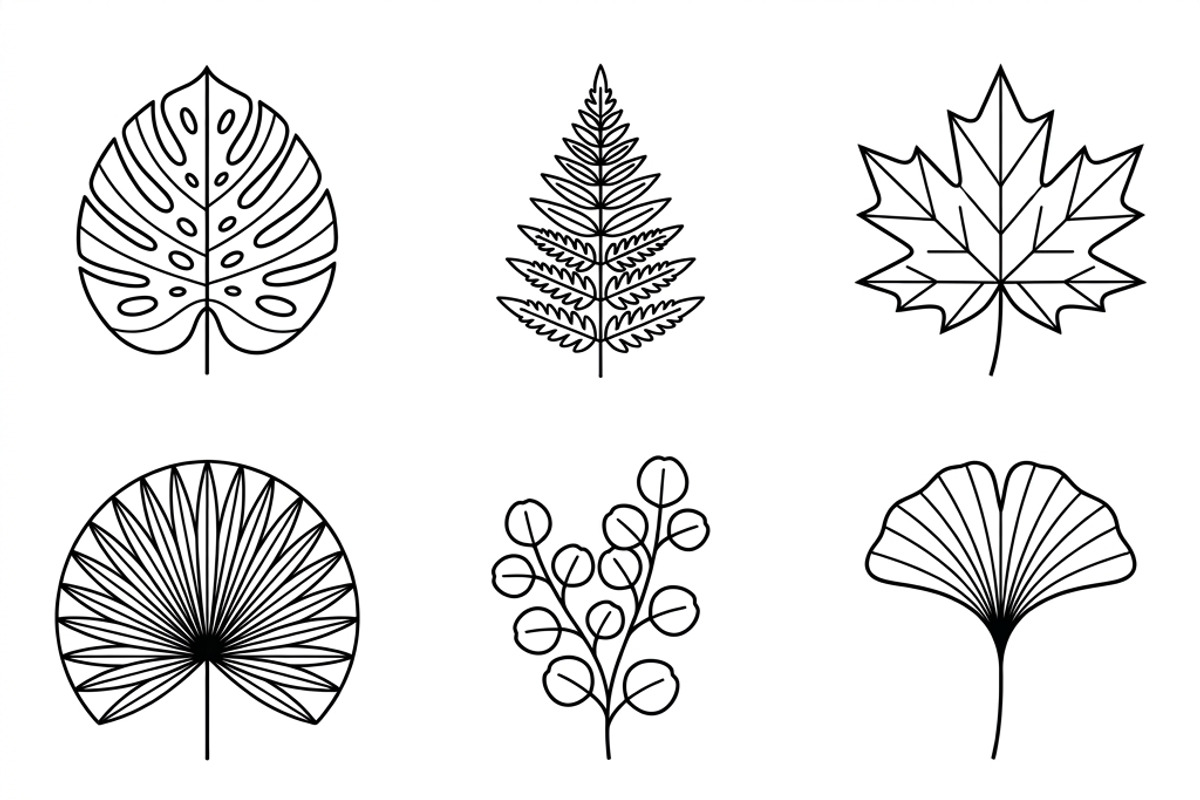 Bundles Set Organic Cosmetic Icons, an Outline Icon by adenpinkstore (Photo 9 of 11)