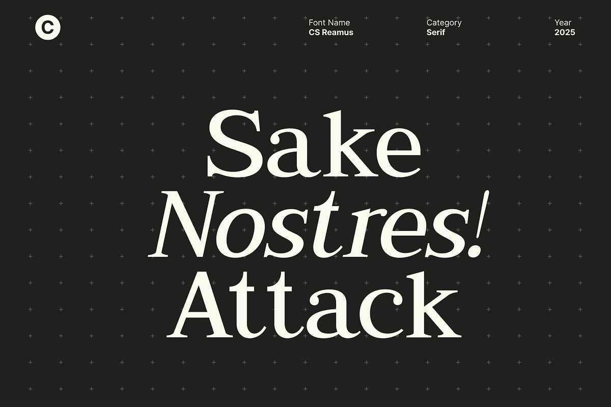 CS Reamus – Serif Typeface, a Serif Font by Craft Supply Co. (Photo 2 of 8)