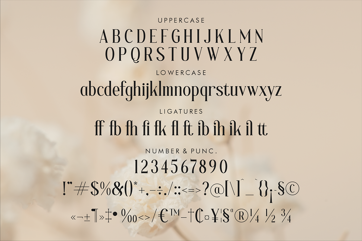 Blafhy Glibs A Modern Serif Font, a Serif Font by Storytype Studio (Photo 12 of 15)