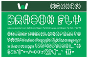 Dragon Fly Font, a Font by weknow