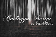 Coelogyne Script - Calligraphy Font, a Script Font by Scandy Font (Thumbnail 1 of 6)