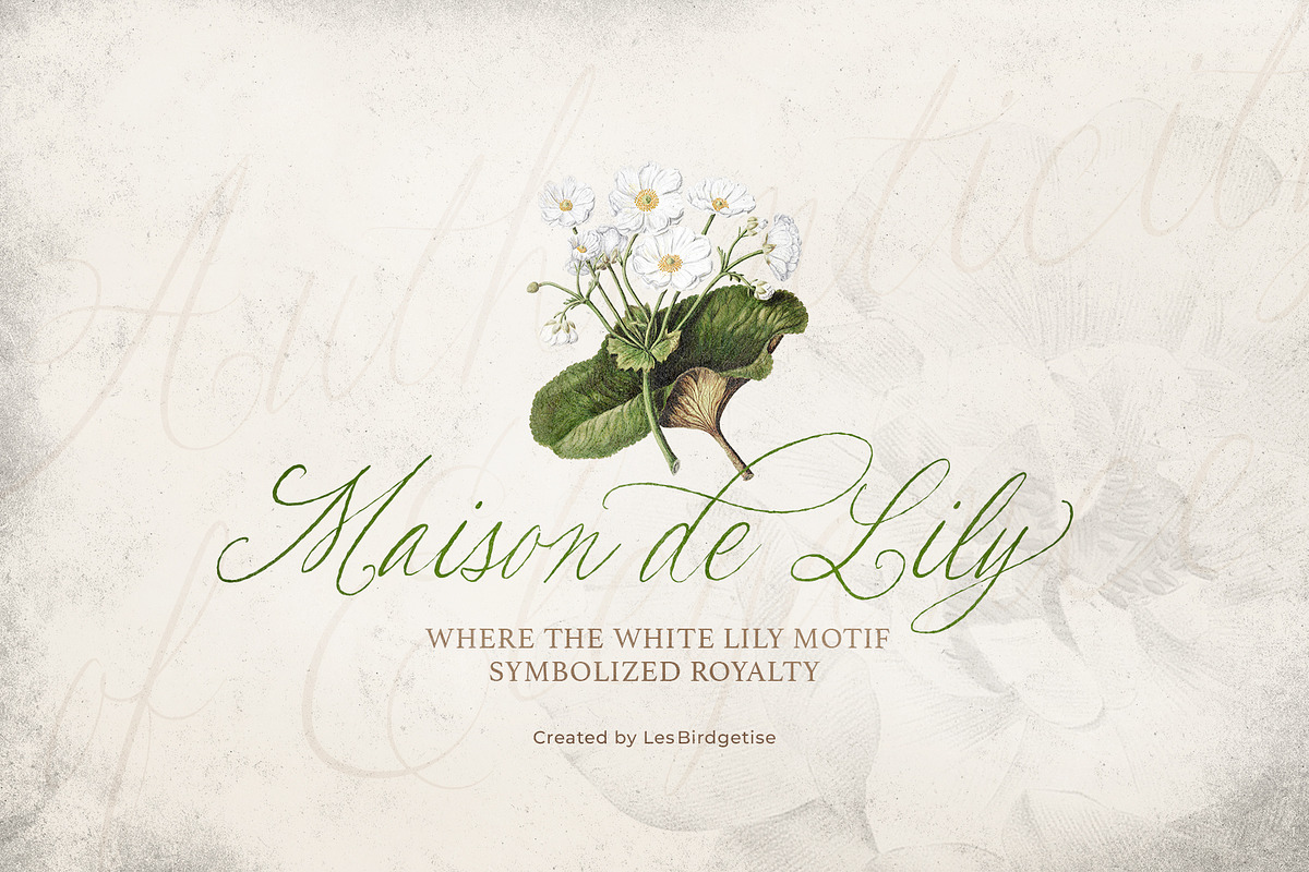 Les Bridgetise - Old Cursive Script, a Script Font by Sarid Ezra (Photo 5 of 9)