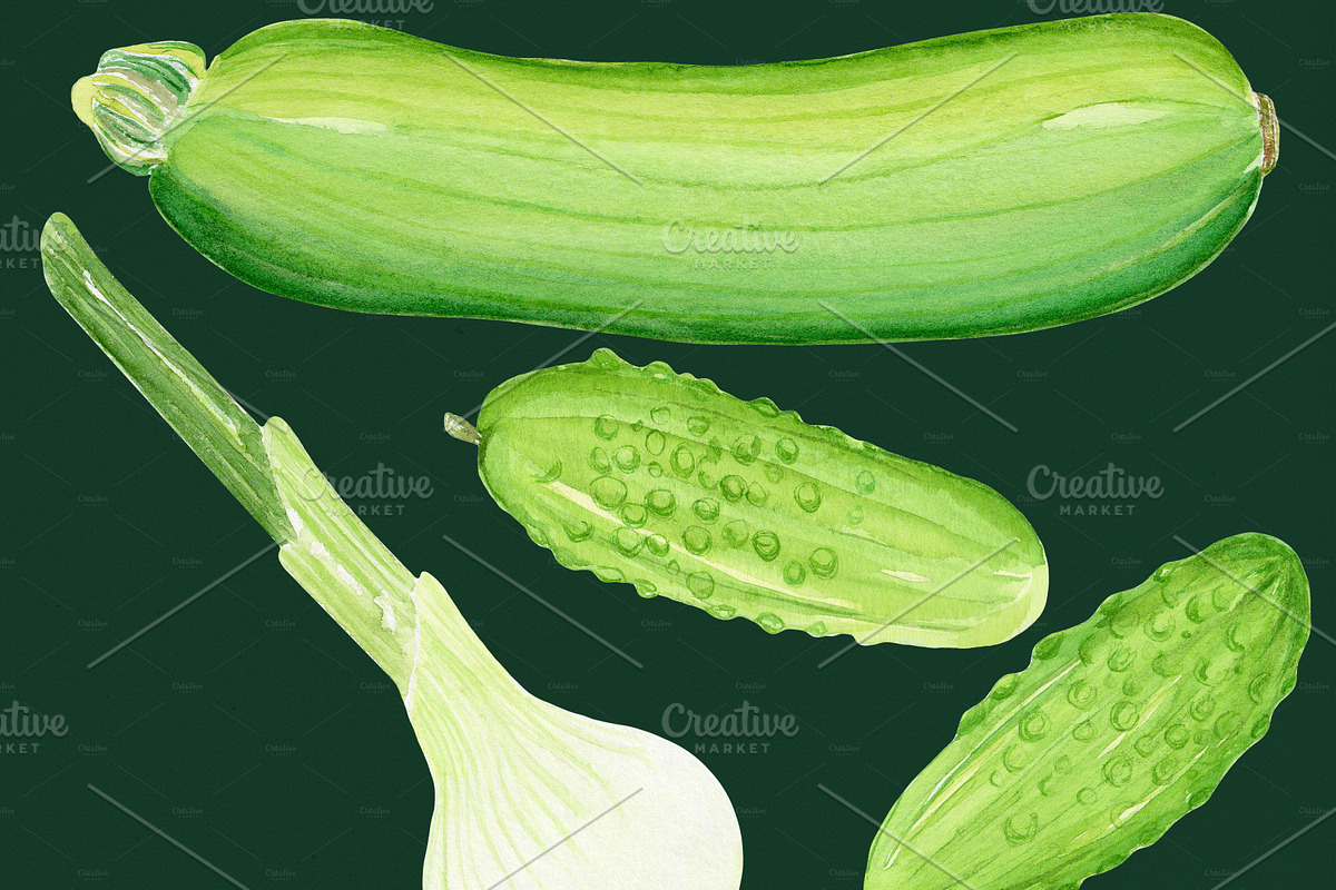 Green Watercolor Vegetables Set, a Food Illustration by Olexandra Mur (Photo 2 of 9)