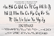 Belinda Signature, a Handwritten Font by FreshTypeINK (Thumbnail 3 of 8)