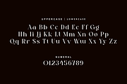 Atfagis - Modern Serif Font, a Serif Font by QR Design Studio (Thumbnail 7 of 14)