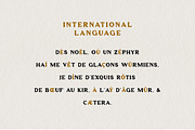 Anderlacht - Vintage Serif + Extras, a Serif Font by Typehand Studio (Thumbnail 7 of 10)