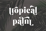 Montena Cottage Stylish Retro Serif, a Serif Font by Dylla_studio (Thumbnail 5 of 10)