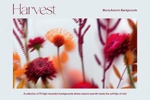 Harvest – Blurry Autumn Backgrounds