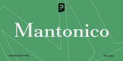 Mantonico, a Serif Font by Pepper Type (Thumbnail 1 of 14)