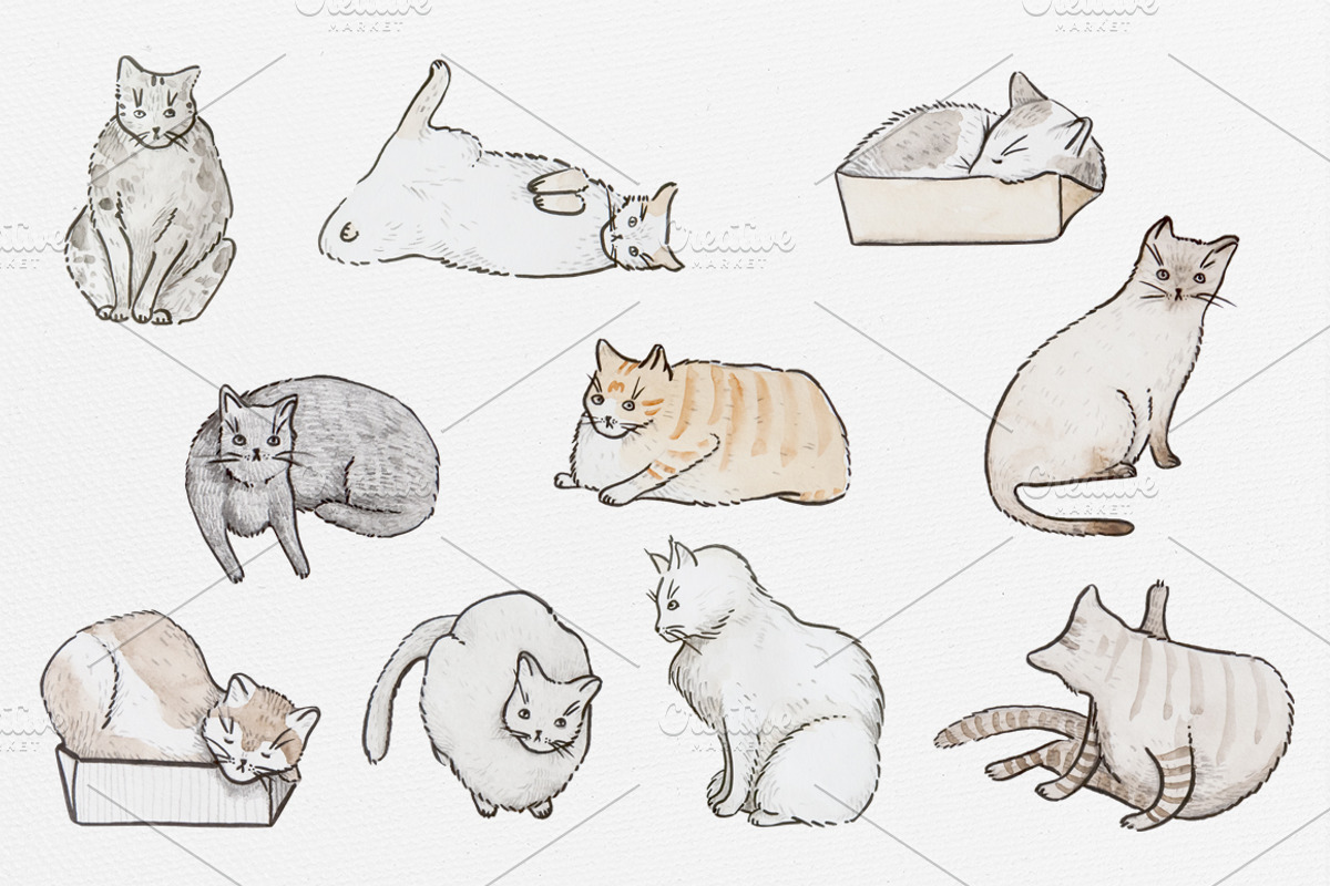 Watercolor Cats, a Graphic by Petite Salade (Photo 2 of 3)