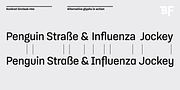 BF Konkret Grotesk Pro, a Sans Serif Font by BrassFonts (Thumbnail 6 of 14)