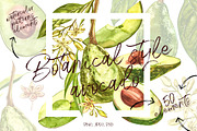 Avocado in botanical style, a Food Illustration by Ann Astro (Thumbnail 10 of 13)
