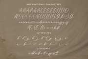 Violetta Frosteil, a Script Font by Goresan Studio (Thumbnail 12 of 15)