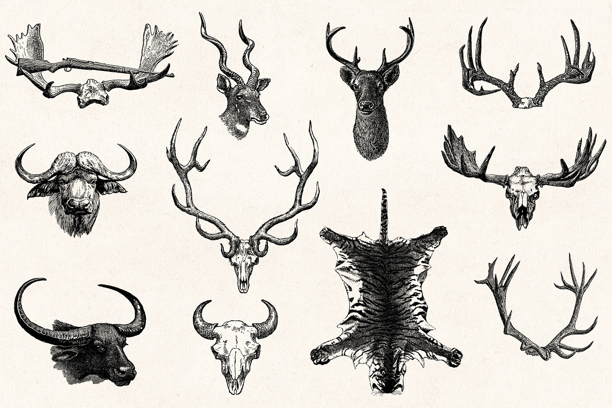 Hunting - Vintage Illustrations, a Sport Illustration by Graphic Goods (Photo 7 of 12)