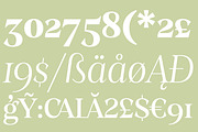 Stability, a Serif Font by OceaneM (Thumbnail 5 of 7)