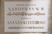 Victoshe || Ligature Serif Font, a Serif Font by Idea Studio (Thumbnail 10 of 10)